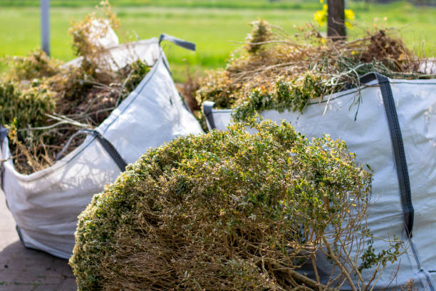 Best Yard Waste Removal  in Arapahoe, NE